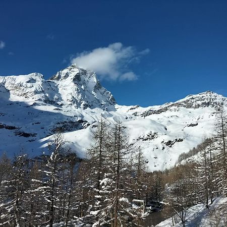 Cervinia Apartments 브루일서비니아 외부 사진